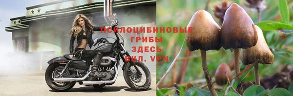 ешки Остров