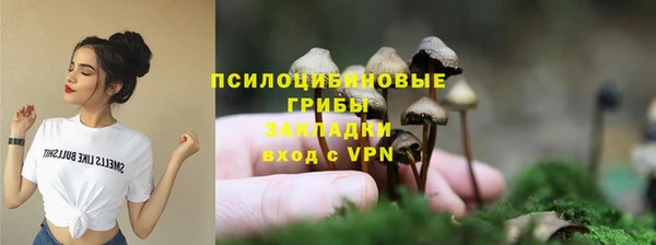 ешки Остров
